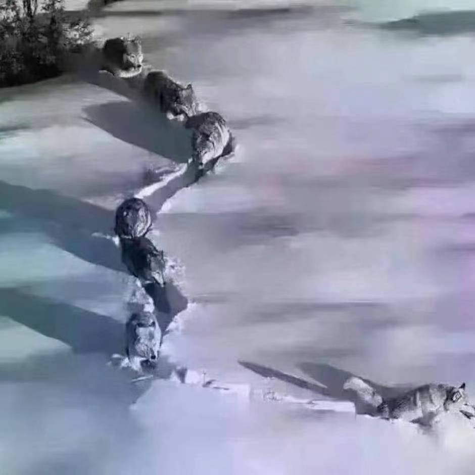 汪洋