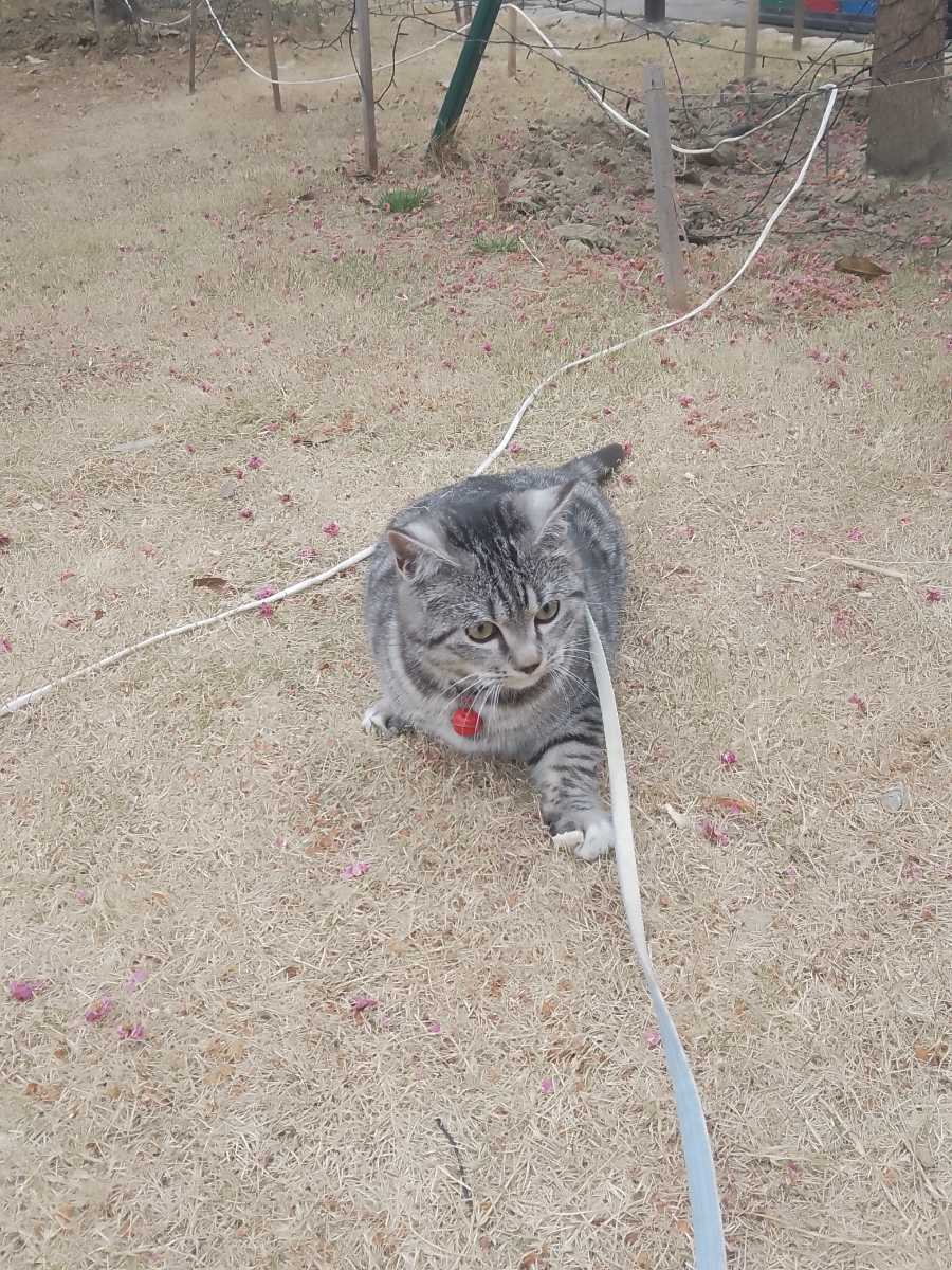 黄慧